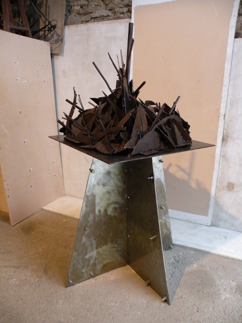 Dscn8504 480x640 